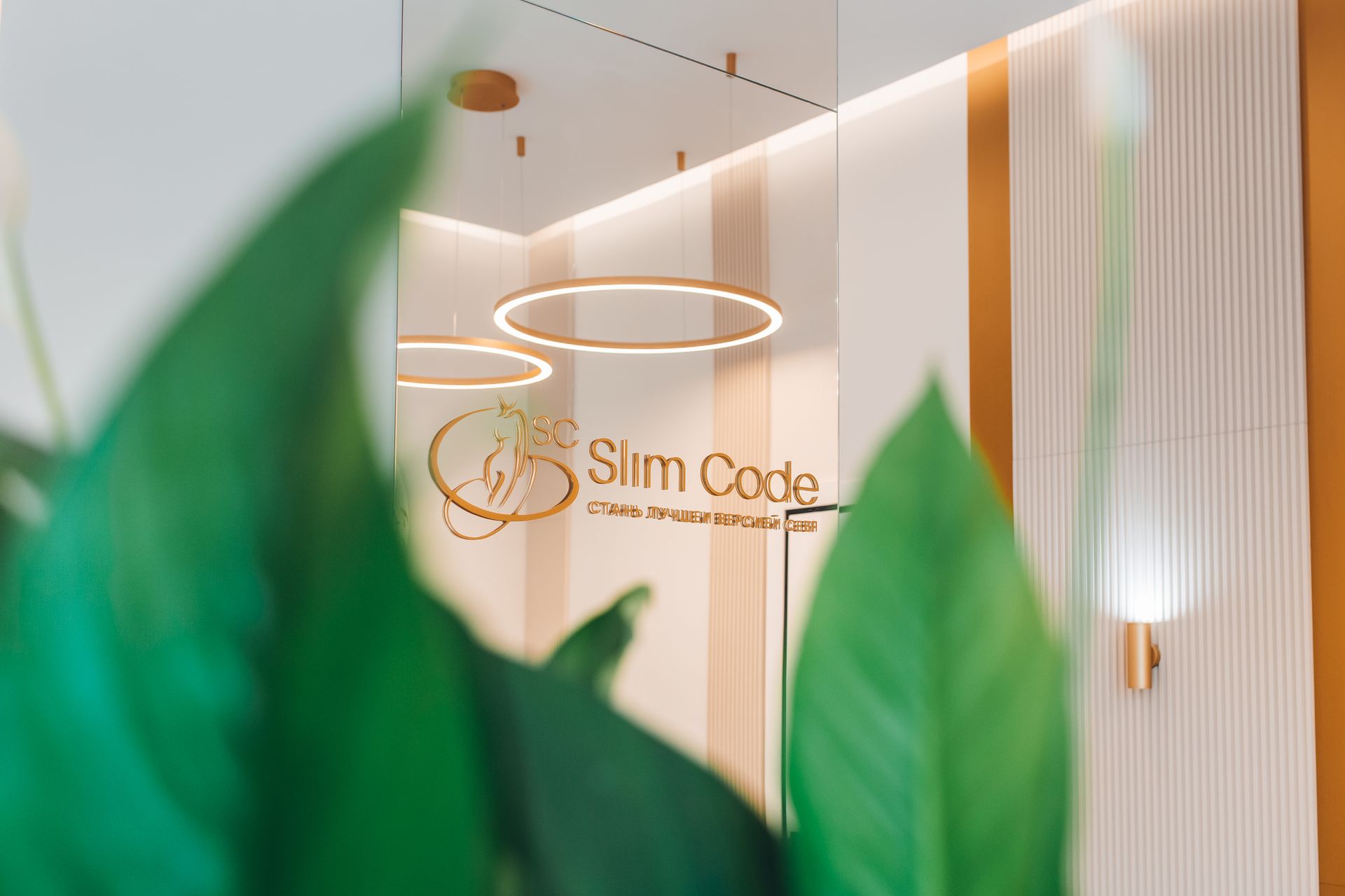 Лаборатория Slim Code